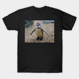 Penguin T-Shirt